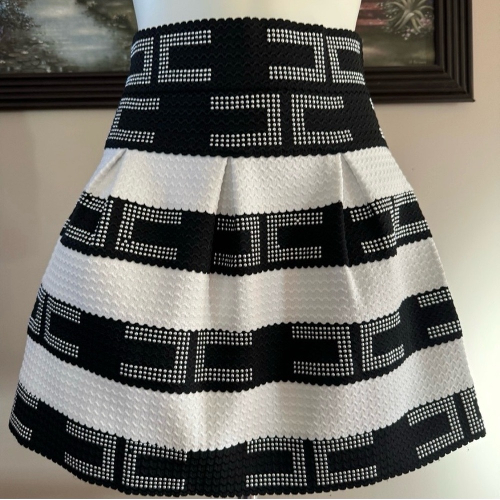 Chic Black and White Patterned Skirt